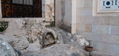 ViajeIsrael 2023   MEVSr day4 1130797