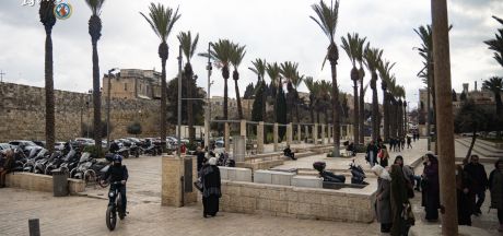 ViajeIsrael 2023   MEVSr day4 00961