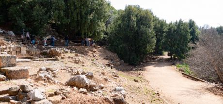 ViajeIsrael 2023   MEVSr day8 1140572