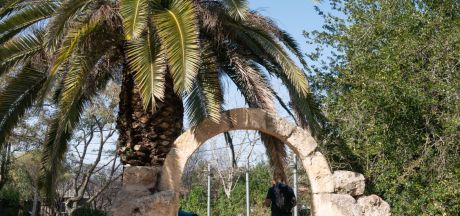 ViajeIsrael 2023   MEVSr day10 1140882