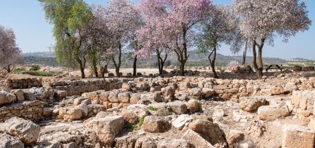 ViajeIsrael 2023   MEVSr day10 1150008