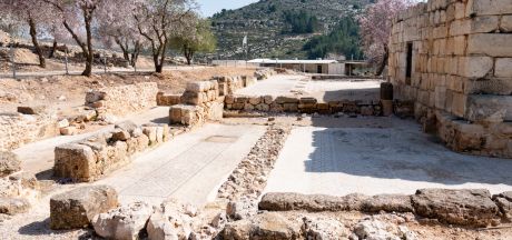 ViajeIsrael 2023   MEVSr day10 1150009