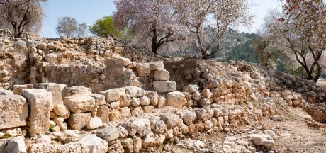 ViajeIsrael 2023   MEVSr day10 1150012