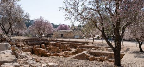 ViajeIsrael 2023   MEVSr day10 1150014