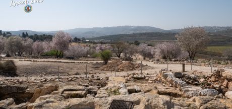 ViajeIsrael 2023   MEVSr day10 1150029