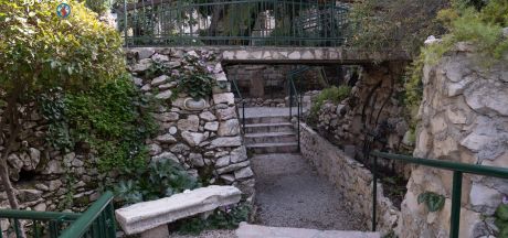 ViajeIsrael 2023   MEVSr day11 05697