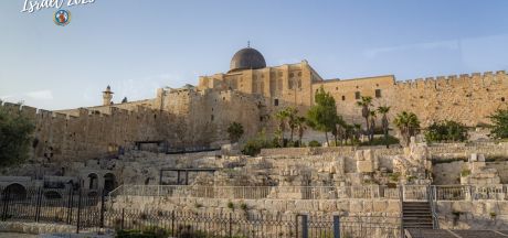 ViajeIsrael 2023   MEVSr day11 05714