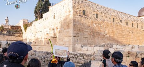 ViajeIsrael 2023   MEVSr day11 05741