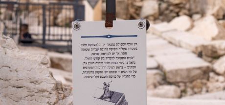 ViajeIsrael 2023   MEVSr day11 05797