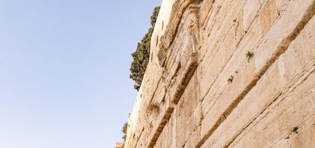 ViajeIsrael 2023   MEVSr day11 05801