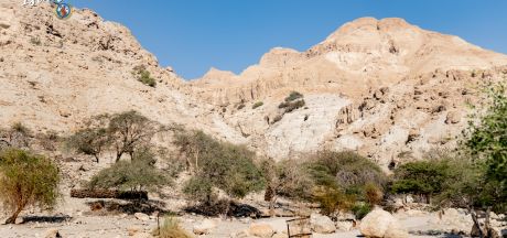 ViajeIsrael 2023   MEVSr day3 00255