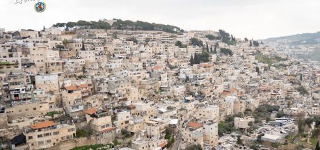 ViajeIsrael 2023   MEVSr day4 00675